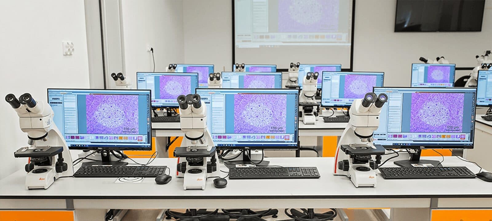 Beste Sicht von jedem Platz