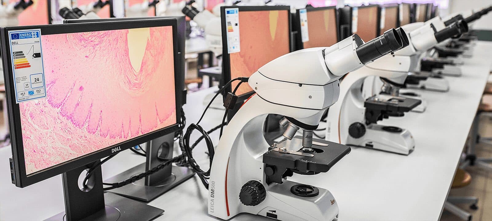 Digitale Vernetzung für Mikroskop-Labore