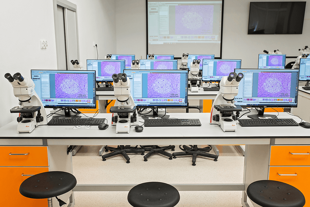 Copernicus Torun Microscopy Lab Workstations