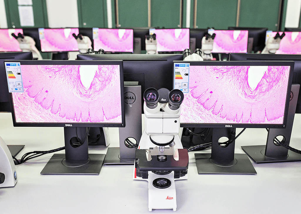 Warsaw University Microscopy Lab Detail